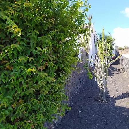 Under The Volcano In Playa Blanca